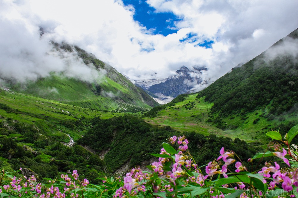 Valley of Flowers