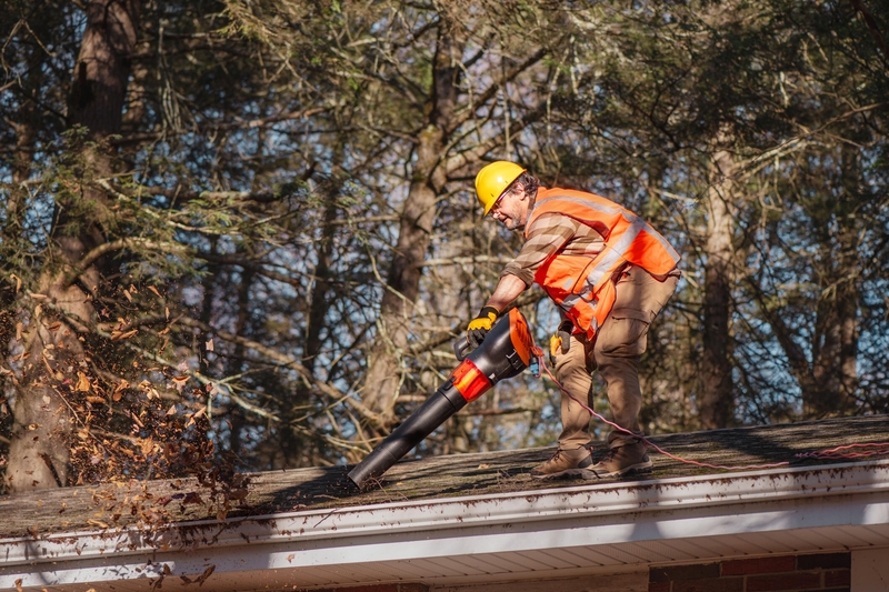 vacuum gutter cleaning