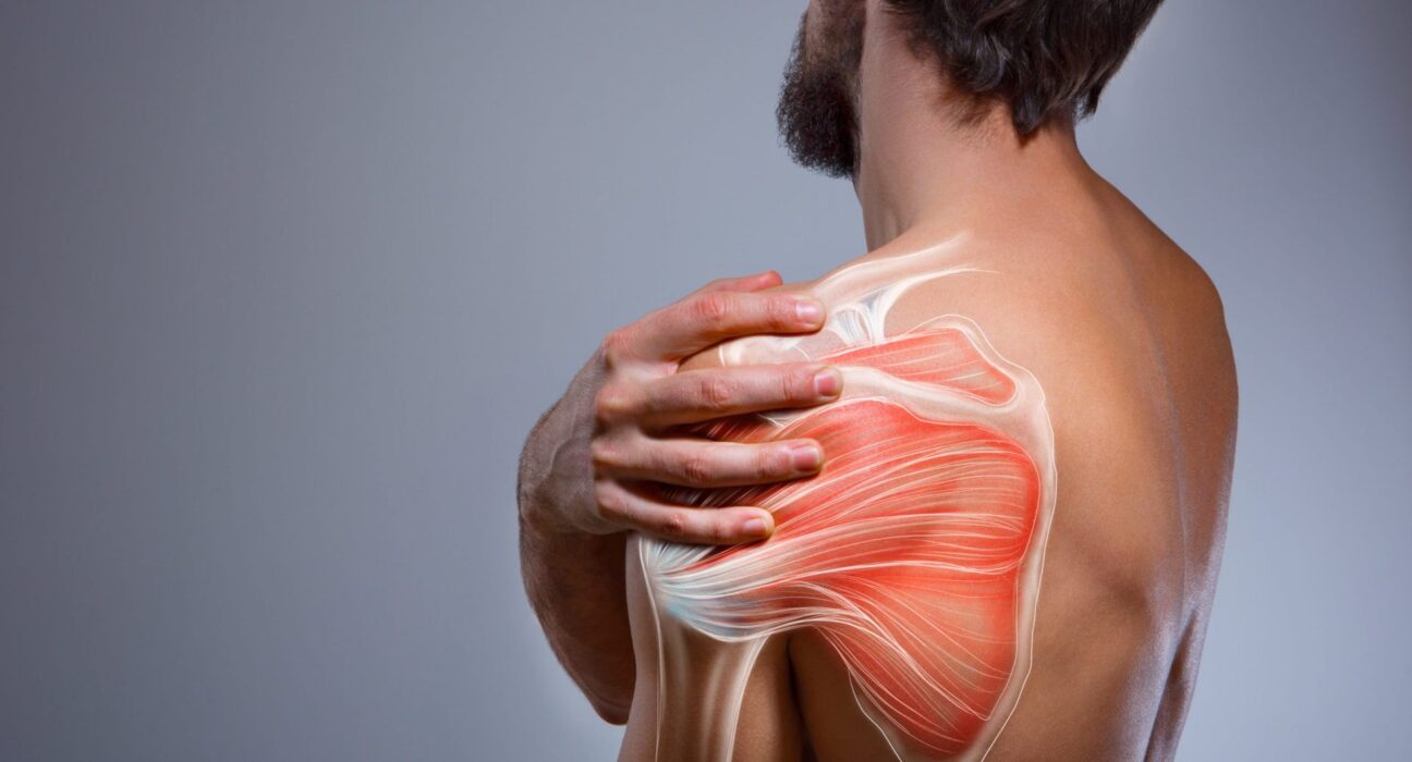 Shoulder-pain-explain