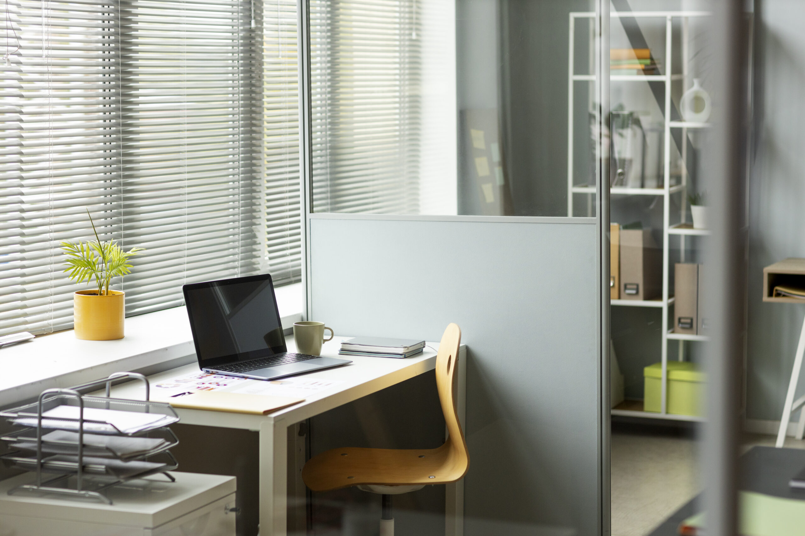 Commercial Office Renovation