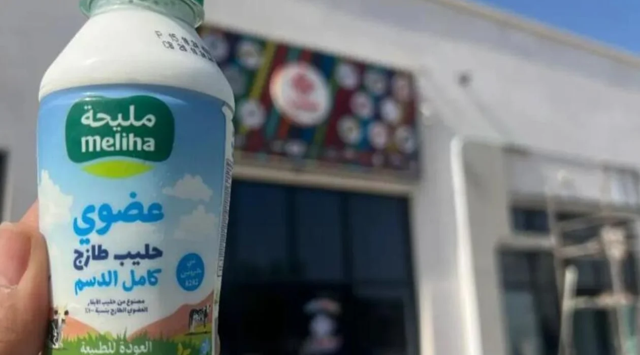 Organic raw milk Sharjah