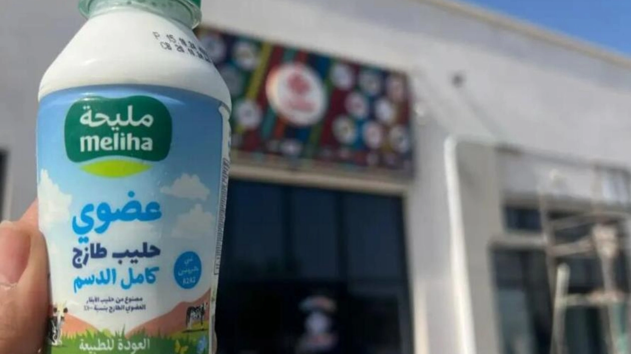 Organic raw milk Sharjah