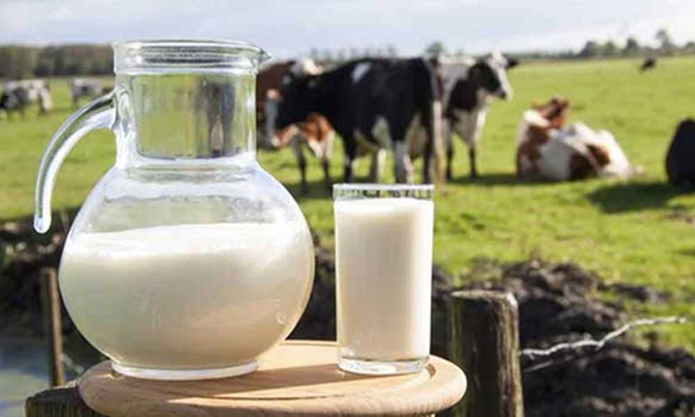 Raw milk online Dubai