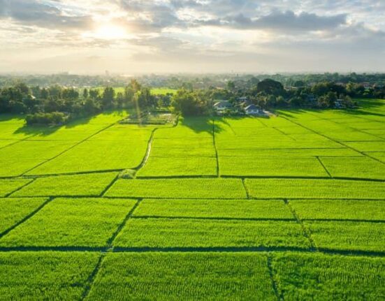 SJR Vivo City Plots