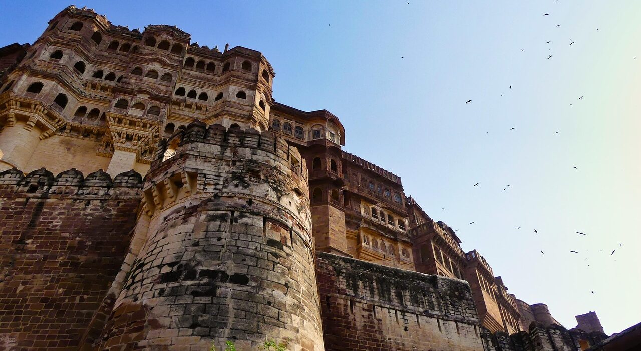 1 day jaipur elephant safari tour