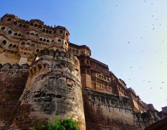 1 day jaipur elephant safari tour